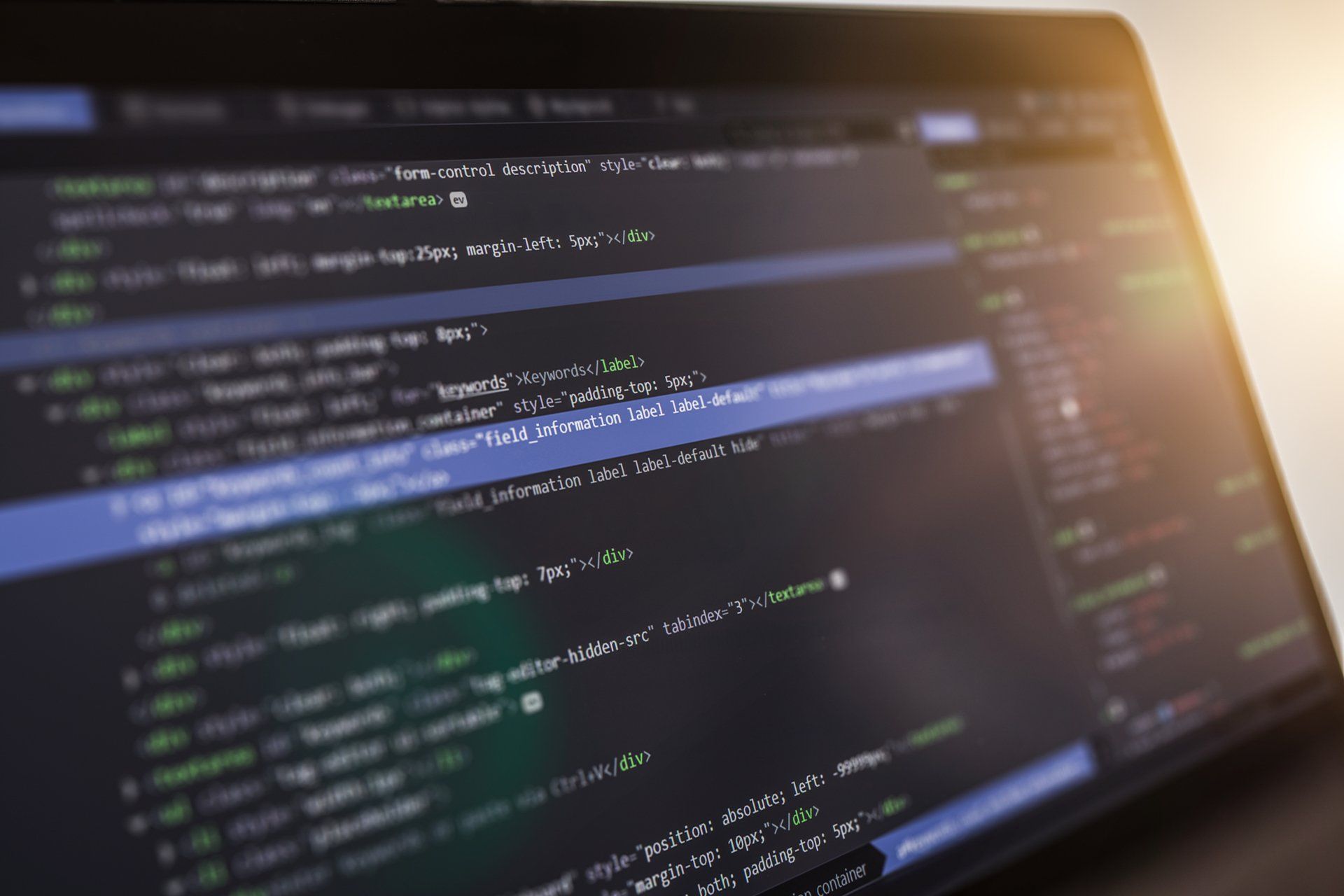 Programmer working in a software develop company office.